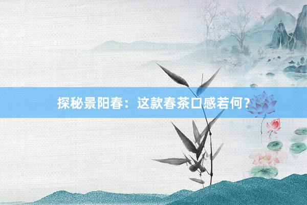 探秘景阳春：这款春茶口感若何？